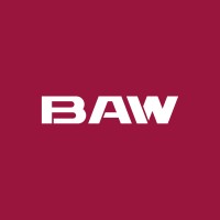 BAW Auto International Co. Ltd logo - Similar company to Honri Auto Co.,Ltd.