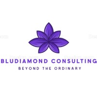 Bludiamond Consulting logo - Similar company to Jps Mobility