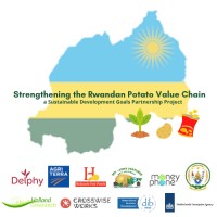 SDGP Potato Value Chain Project Rwanda logo - Similar company to Codeit Rwanda