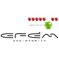 EFEM logo - Similar company to Effem Inc