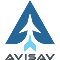 AVISAV logo - Similar company to Northwest Data Solutions