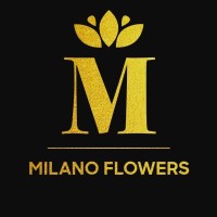 מילאנו פרחים | Milano Flowers logo - Similar company to Sflower סלון פרחים
