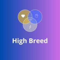 High Breed logo - Similar company to Digital Code Lab