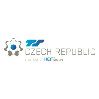Techniques Surfaces Czech Republic s.r.o. logo - Similar company to Mark Ryden