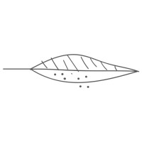 Studio Casa Folha logo - Similar company to Biomist Vitória