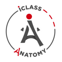 iClass Anatomy logo - Similar company to Thinkin By Dr Benjamin Ascher