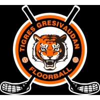 ISERE GRESIVAUDAN FLOORBALL logo - Similar company to Amiens Floorball