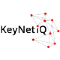 KeyNetiQ logo - Similar company to Keynit
