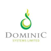Dominic Systems Limited logo - Similar company to Big Wave Bi