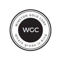 Winston Gold Corp (CSE: WGC) (OTCQB: WGMCF) logo - Similar company to Teras Resources Inc (Tsxv: Tra)