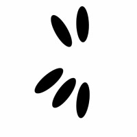 Kwala logo - Similar company to Cormades