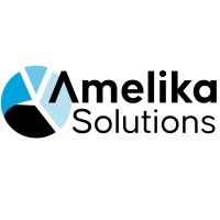 Amelika LLC logo - Similar company to Backslant