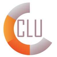 Clu Srl