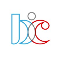 Buhr Consulting & Advisory logo - Similar company to 9:16 Summit