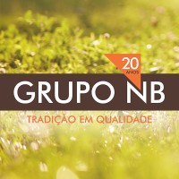 Grupo NB logo - Similar company to Grupo Nb