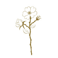 Wild Rose Productions logo - Similar company to High Plains Reader