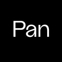 Panidentity logo - Similar company to Punct Creativ