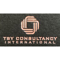 TSY Consultancy International logo - Similar company to Assured Information Security Ltd.