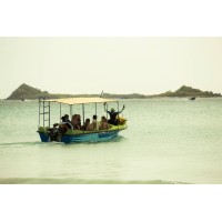 T Tours Pvt Ltd