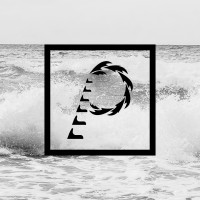 Palm Collective Marketing Llc