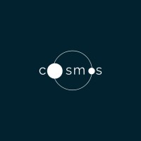 Digital Cosmos  - Web Designer Services logo - Similar company to Itm Software