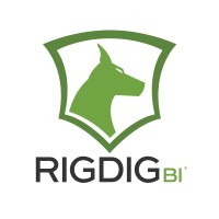 RigDig BI logo - Similar company to Rigdig
