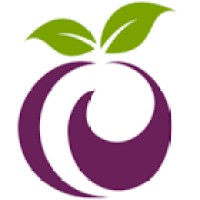 ProfitPlum logo - Similar company to Jaycee Technologies Pvt. Ltd.