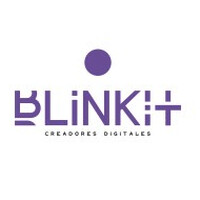 Blink IT Studio logo - email format related to DecentralWize