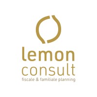 Lemon Consult logo - Similar company to Ufin