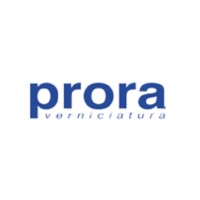 Prora Verniciatura logo - Similar company to Flag Srl