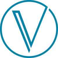 Vixualize logo - Similar company to Leanscale.Io