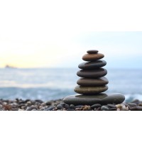 Wellness Counseling Center, Panaji logo - Similar company to Icebreaqers