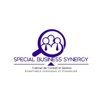 Special Business Synergy - SBS logo - Similar company to Bny Consulting