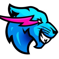 MrBeast Gaming logo - Similar company to Mr. Beast Giftcard