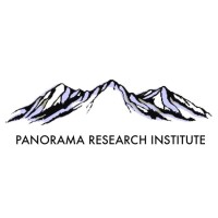 Panorama Research vi logo - Similar company to Panorama Research