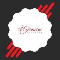 Tecnowok Solution logo - Similar company to Maiyainfo
