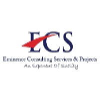 DSP Eminence Consulting Services