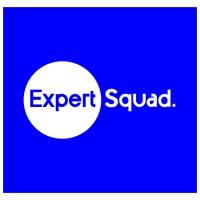 Expert Squad logo - Similar company to Hive Ride