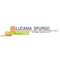 Lucania Spurgo logo - Similar company to Associazione Federterziario Scuola