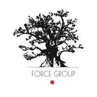 Force Groups logo - Similar company to Force Group