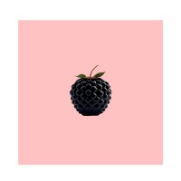 .berries logo - Similar company to {Phosphenes}