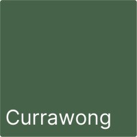 Currawong Advisory logo - Similar company to Whitehead Advisory