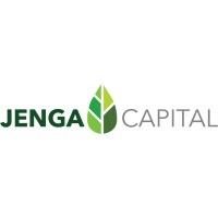 Jenga Capital logo - Similar company to Tltsolutions