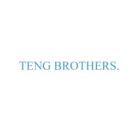 Teng Brothers. Private Limited logo - Similar company to Visualsoft Pte Ltd