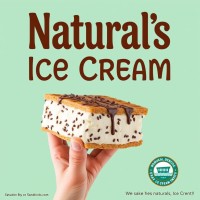 Natural ice cream mo logo - Similar company to Arttd'Inox