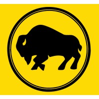 Buffalo Machines Limited logo - Similar company to Envisage Technology Ltd