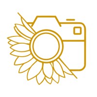 Tourne Sol Studio logo - Similar company to Clarnie