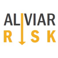 Aliviar Risk logo - Similar company to Bv Transmission