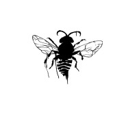Dvashh, Inc. logo - Similar company to Dk Wine Group