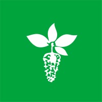 Maruplast Internacional logo - Similar company to Industrias Comfruttiperu Eirl